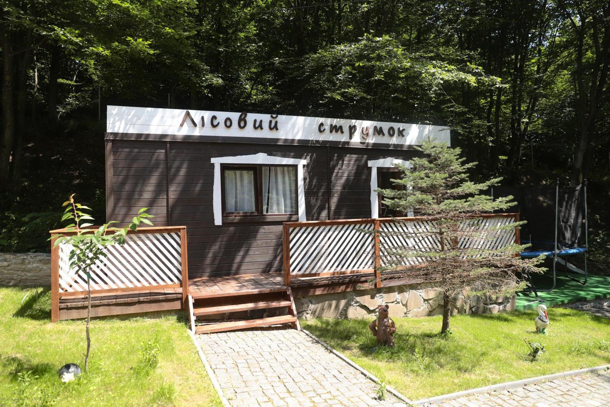 База Відпочинку Forest Stream Svaljava Exteriör bild