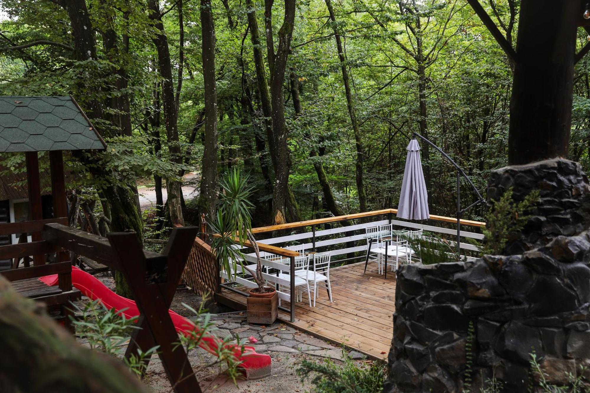 База Відпочинку Forest Stream Svaljava Exteriör bild